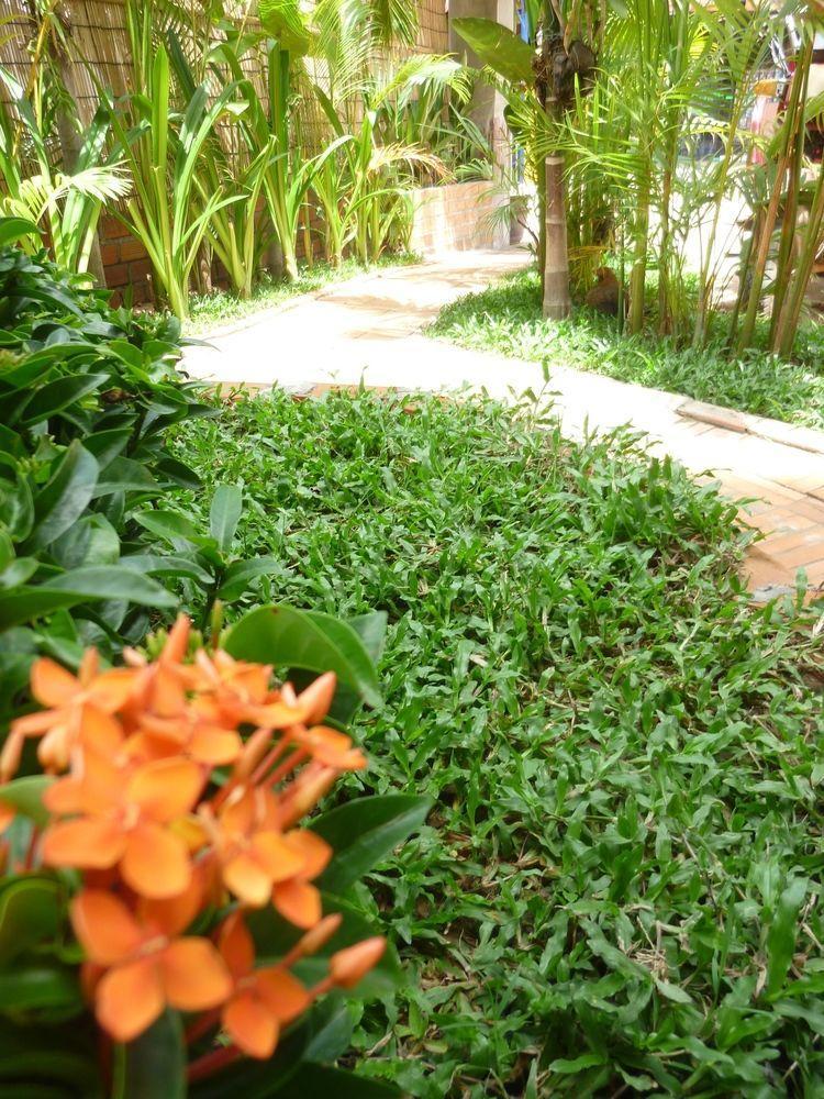 Angkor Reas Guesthouse Siem Reap Extérieur photo